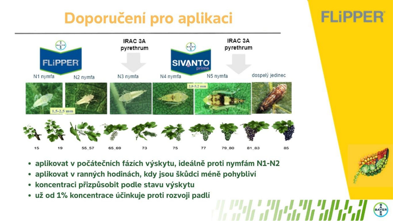 doporučení k ošetření révy vinné